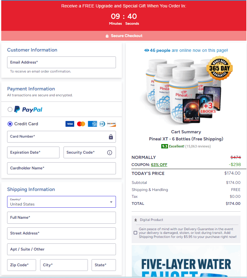 Pineal-XT secure-checkout